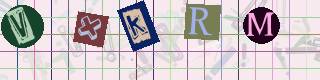 Captcha-Code - Es besteht die Möglichkeit, sich den Captcha-Code vorlesen zu lassen, klicken sie dazu auf den Button mit dem Titel 'Liest den Captcha-Code vor(Audioausgabe)'