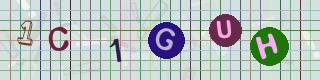 Captcha-Code - Es besteht die Möglichkeit, sich den Captcha-Code vorlesen zu lassen, klicken sie dazu auf den Button mit dem Titel 'Liest den Captcha-Code vor(Audioausgabe)'