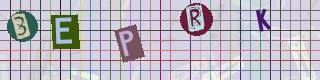 Captcha-Code - Es besteht die Möglichkeit, sich den Captcha-Code vorlesen zu lassen, klicken sie dazu auf den Button mit dem Titel 'Liest den Captcha-Code vor(Audioausgabe)'